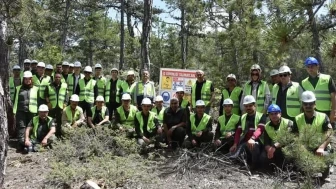 Beyşehir'de ormancılara yönelik eğitimle ağaç kesme ve budama teknikleri öğrenildi