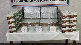 Ağrı'da büyük operasyon: 3 bin kaçak botoks ilacı ve bin 500 elektronik sigara ele geçti