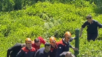 Rize'de çay bahçesinde düşen işçi AFAD ekipleri tarafından kurtarıldı: Sağlık durumu ciddiyetini koruyor