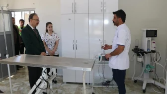 Siirt'te sokak hayvanları için umut ışığı: Bakımevinde güvenli yaşam