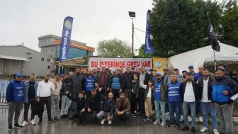 Gebze ve Çayırova'da grevdeki işçiler: 'Direne direne kazanacağız!' Sendikal eğitimle dayanışma güçleniyor