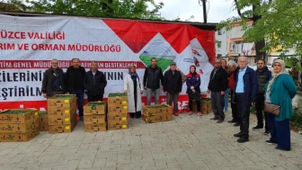 Düzce'de tarım arazilerine hayat veren fide desteği: 150 üreticiye domates, 103 üreticiye hıyar fidesi dağıtıldı