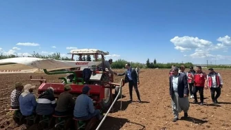 Adıyaman'da Ege tipi tütün ekimi start aldı! Çiftçilere destek mesajı