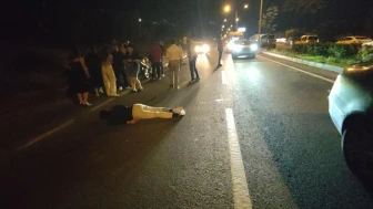Kuşadası'nda gece yarısı feci kaza: Motosiklet domuz sürüsüne çarptı, sürücü ağır yaralı