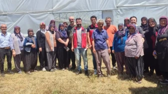 Kandıra tarım müdürlüğü örtüaltı üreticileri bilgilendirdi