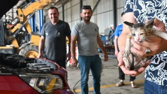 Başiskele Belediyesi araçta sıkışan kediyi kurtardı