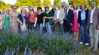 İzmit Belediyesi lavanta şenliği coşkuyla kutlandı
