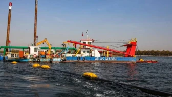 İzmit Körfezi çevre mücadelesiyle yeniden canlandı