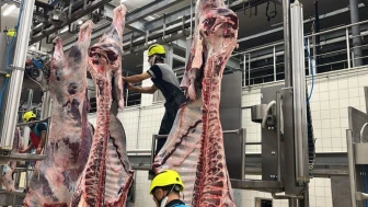 Kocaeli Büyükşehir sakatatları rastgele çöpe atmanın tehlikelerini açıkladı