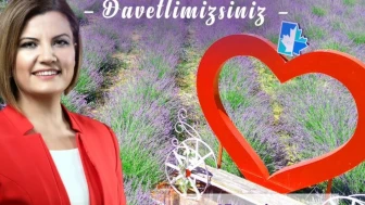 İzmit Belediyesi lavanta şenliği 25 Haziranda başlıyor
