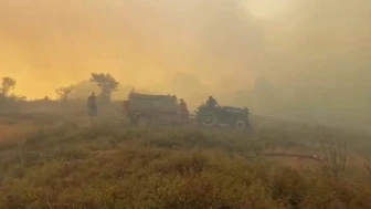 Gebze orman yangını söndürülüyor