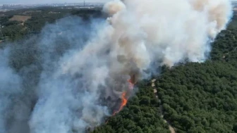 Gebze orman yangını kontrol altına alındı