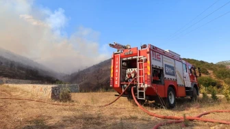 Kocaeli itfaiyesi orman yangınlarına karşı uyardı