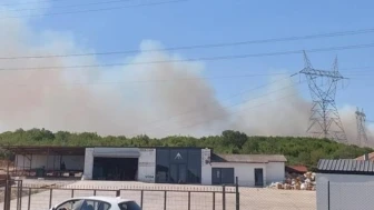 Gebze ormanlık alanında yangın çıktı