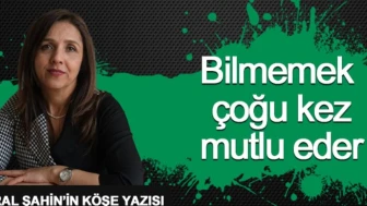 Mutluluk resmi çizmek imkansız mıdır