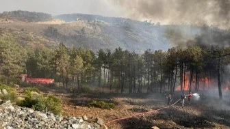 Kocaeli Bursa'daki orman yangınına ekip gönderdi