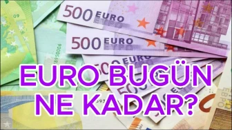 Euro kuru 47 TL seviyesinde sabit kaldı