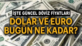 Dolar euro ve sterlin değerleri yükseldi