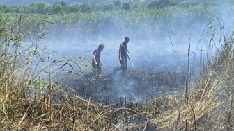 Sapanca Gölünde sazlık yangını söndürüldü