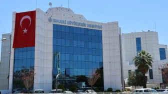 Büyükşehir Kandıra fındığına destek verdi