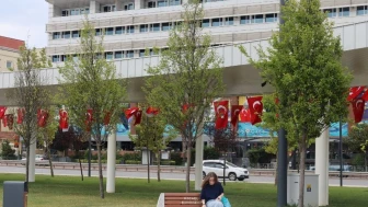 Milli İrade Meydanına 316 fidan dikildi