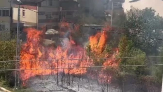 Kartepe'de otluk yangını binalara sıçramadan söndürüldü