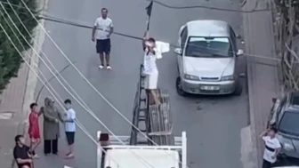 Tele takılan güvercin kamyonette kurtarıldı
