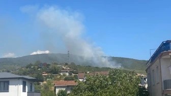 Kocaeli’de orman yangını yeniden başladı