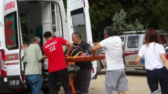 Kocaeli'de trafik kazasında 8 kişi yaralandı