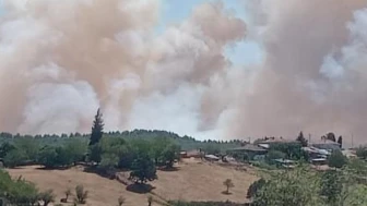 Karamürsel’de orman yangını çıktı