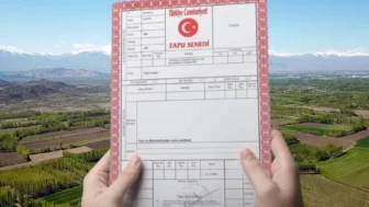 İşlenmeyen tarım arazileri kiraya verilecek