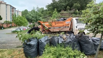 Başiskele atık toplamada bilimsel dönüşüm yaptı