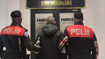 İzmit’te bonzai operasyonu sonuçlandı