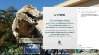Darıca Faruk Yalçın Hayvanat Bahçesi kış molasında kapandı