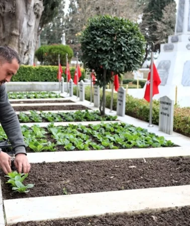 Kocaeli şehitliklerde çevre düzenlemesi yaptı