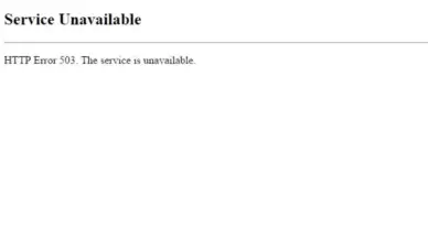 http 503 hatası nedir?