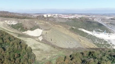 Kocaeli 60 dönüme 4500 ağaç dikiyor