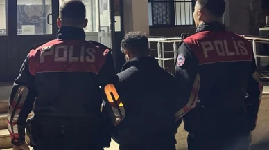 Kocaeli’de bonzai ele geçirildi