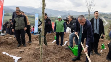 Karamürsel’de yangın bölgesine 3 bin ağaç dikildi