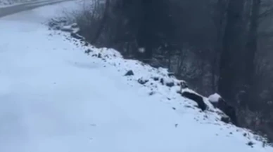 Kartepe kar yağışıyla beyaza büründü