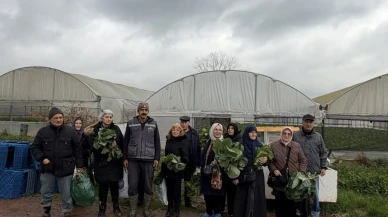Kocaeli’de yaşlılar tarım etkinliğine katıldı