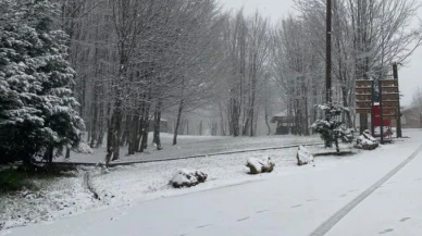 Kartepe'ye lapa lapa kar yağıyor