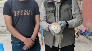 Şırnak’ta yaralı bulunan yaban hayvanları: Dkmp ekiplerine teslim edildi