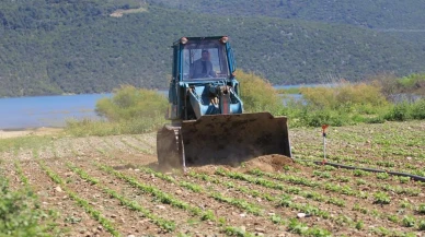 Devlet çiftçiye "ekin" diyor, DSİ ekili alanları düzlüyor