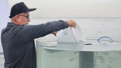 Kocaeli Körfezi'ne 6 bin çipli balık bırakıldı