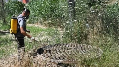 Kuşadası Belediyesi'nden yaz öncesi dev ilaçlama hamlesi! Halk sağlığını korumak için yapılıyor