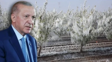 Erdoğan'dan çiftçilere destek müjdesi: Don olayının ardından TARSİM yardımları devrede