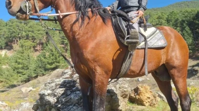 800 yıllık geleneğe genç nefes: Rahvan at yarışlarında 8 yaşındaki jokey göz kamaştırdı