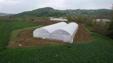 Çiftçilere büyük destek: Kocaeli'de hibeli modern seralar sahiplerini buldu
