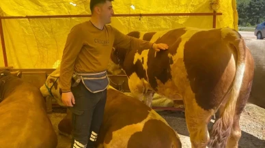 Derince Kurban Pazarı'nda fiyatlar 130 bin TL'den başlıyor